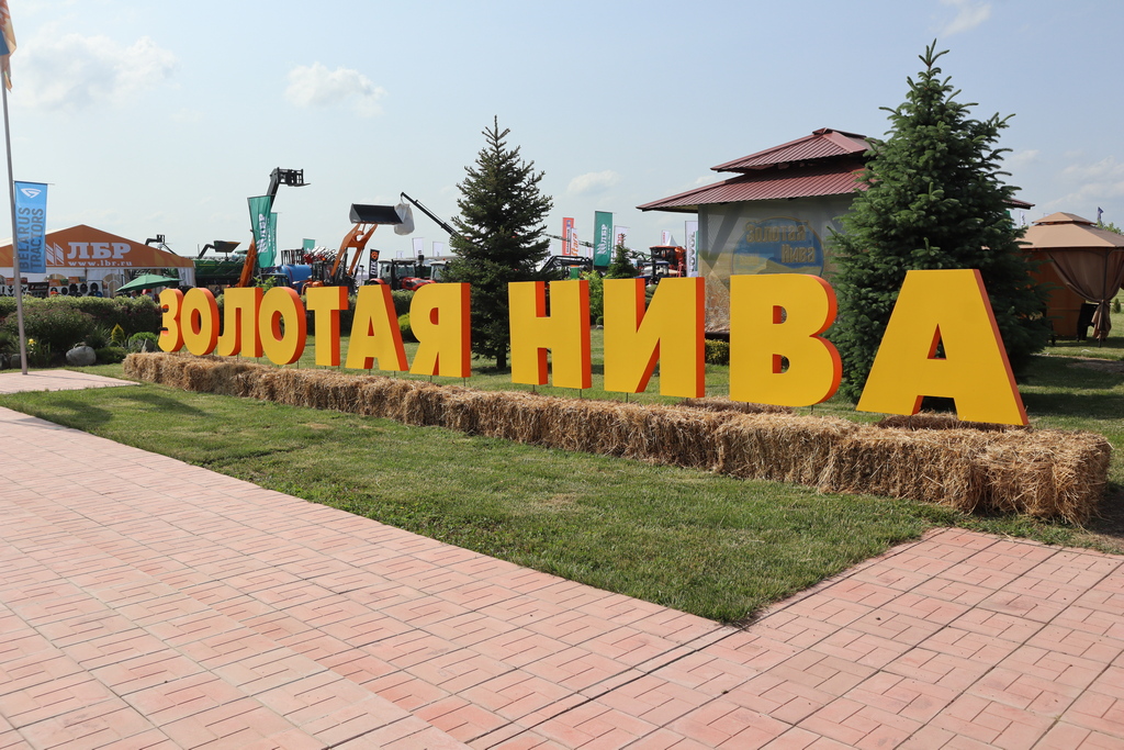 ЗОЛОТАЯ НИВА XXIV. Как мы представлены в этом году